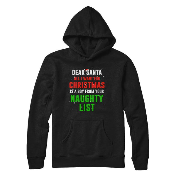 Dear Santa I Want For Christmas Is A Boy From Naughty List Gildan Pullover Hoodie